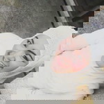 Aummy M. Abdullah profile icon