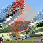 eka fauziah profile icon