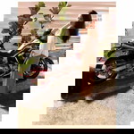 Naddy Saini profile icon