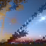 sk profile icon