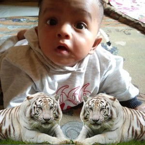 Vetronela Juliana Azalea Tompo profile icon