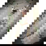 Donna cresya Gomies profile icon