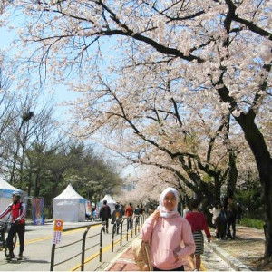 ulvatin profile icon