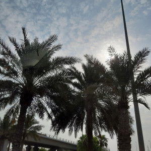 Mommy-at-heart profile icon