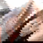 Jellybeth Carbajosa Rodriguez profile icon