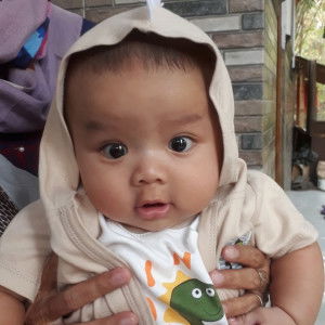 Dina hening lestari (farzan) profile icon