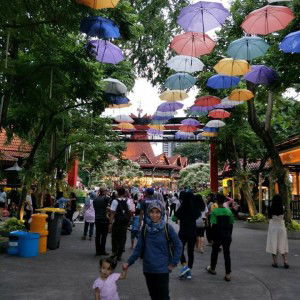 Misoll Khansa Syafiqa profile icon