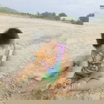 เศษ เวลา profile icon