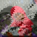Vera Wati profile icon