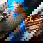 Nunuk Sarah profile icon