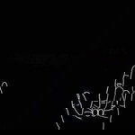 May Dee profile icon