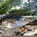 Wyen April profile icon