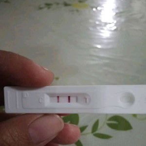 Chai Chai Gilbor profile icon