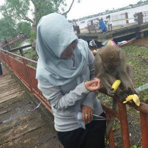 Naviya Lucci profile icon