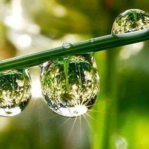 Evi Apiah profile icon