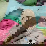 บุญยานุช profile icon