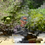 ฟิตรี เครือทอง profile icon