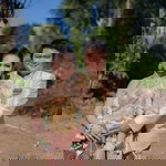 นู๋ฝน ฟ้าใส profile icon