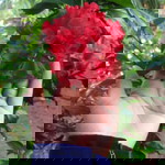 Rati Krisna Sri Devi profile icon