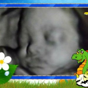 Rozalyn S. Adlao profile icon