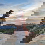 Thitichaya Plan Single profile icon