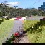 anisri nuraeni profile icon