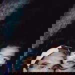 Kcebseorg Aigufer Odransi profile icon