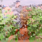 Nguyễn Nhã Len profile icon