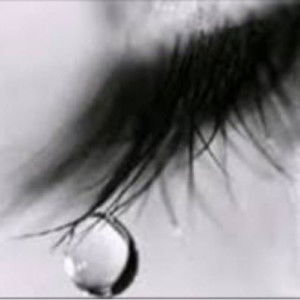 วิภา ศรีอร่าม profile icon