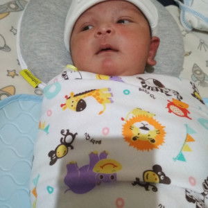 Dinan2019 profile icon