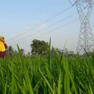 laili anadilla profile icon