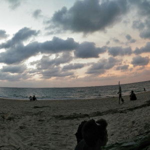 Wannapha profile icon