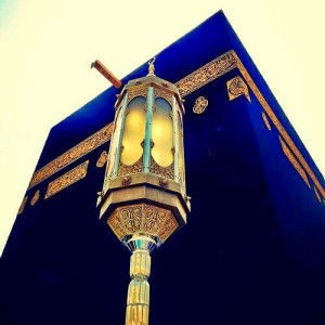 aini- jnoey profile icon