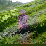 Amiera Mohamad profile icon