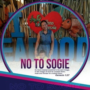 Jarelyn Lopez Bente Socorin profile icon