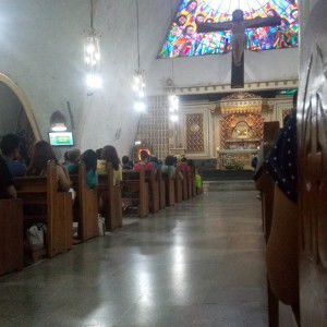 phardii profile icon