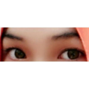 Senja Kharisma profile icon