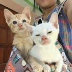 น้องเคลิน profile icon