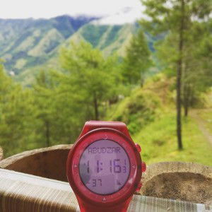 Ummu Umar profile icon