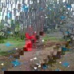 D'ipit Andriani profile icon