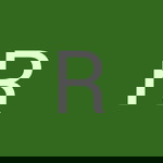 Rohani Mane profile icon