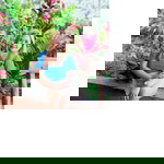 Dassel Joy Ocumen profile icon