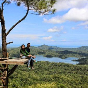 Dhian Nurayni profile icon