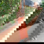 Nickname Beam profile icon