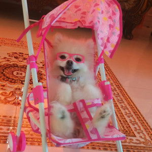 key of life profile icon