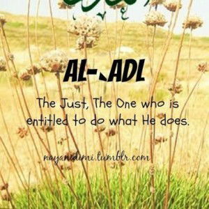 Smae abdulrahman profile icon