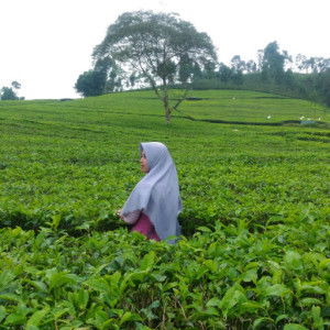 atin nuraga profile icon