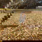 Yuwaree Ook Jittachai profile icon