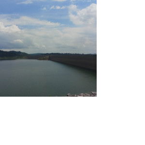 kaimook y. profile icon