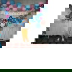 Ru Guerrero profile icon